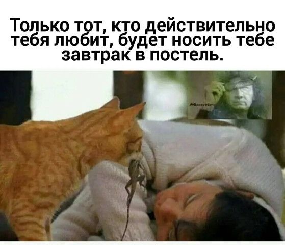 Только т т кто действительно тебя лю ит будет носить тебе завтрак в постель