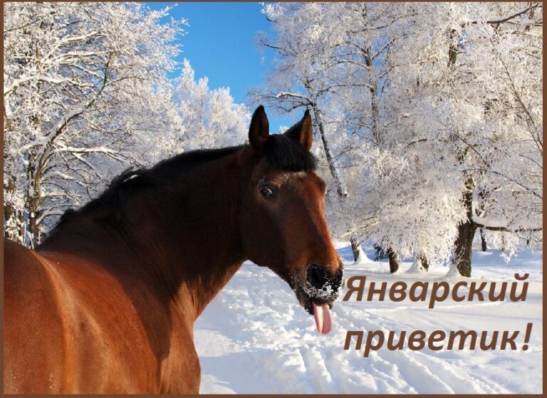 приветик