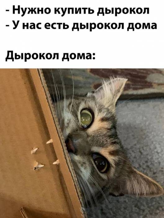 Нужно купить дырокол У нас есть дырокол дома дырокол дома