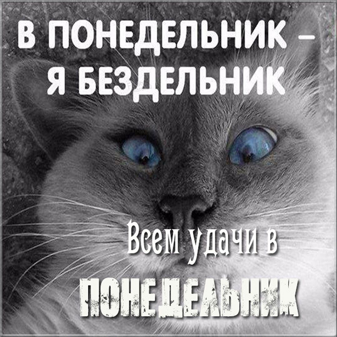 Гв понвдвпьник