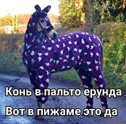 ш эуы ль  коньв.пальтоёрунда тв пижаме этода