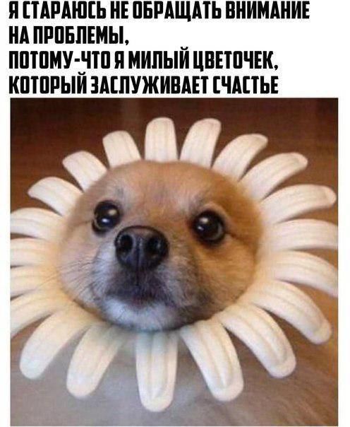П ПАРАШЕЬ НЕ ПБМЩАТЬ ВНИМАНИЕ НА ПРПЕЛЕМЫ ППШМУ ВШ Я МИПЫИ ЦВЕШЧЕК КПШПЫИ АШУЖИПАЕТ ЧАПЬЕ