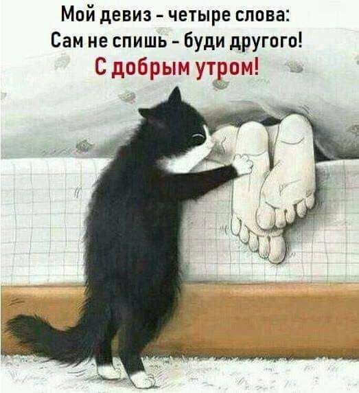 Мой девиз четыре слова Сам не спишь буди другого С добрым утром