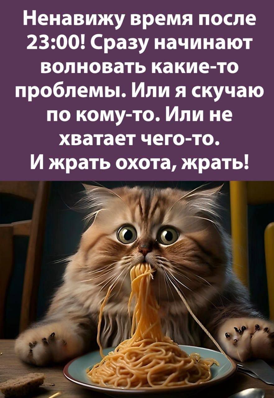 Ненавижу время после 2300 Сразу начинают волновать какие то проблемы Или я скучаю по кому то Или не хватает чего то И жрать охота жрать