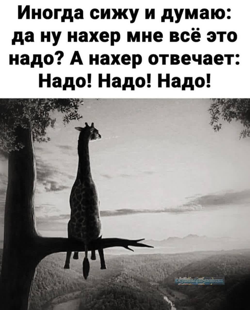 Иногда сижу и думаю да ну нахер мне всё это надо А нахер отвечает Надо Надо Надо 1