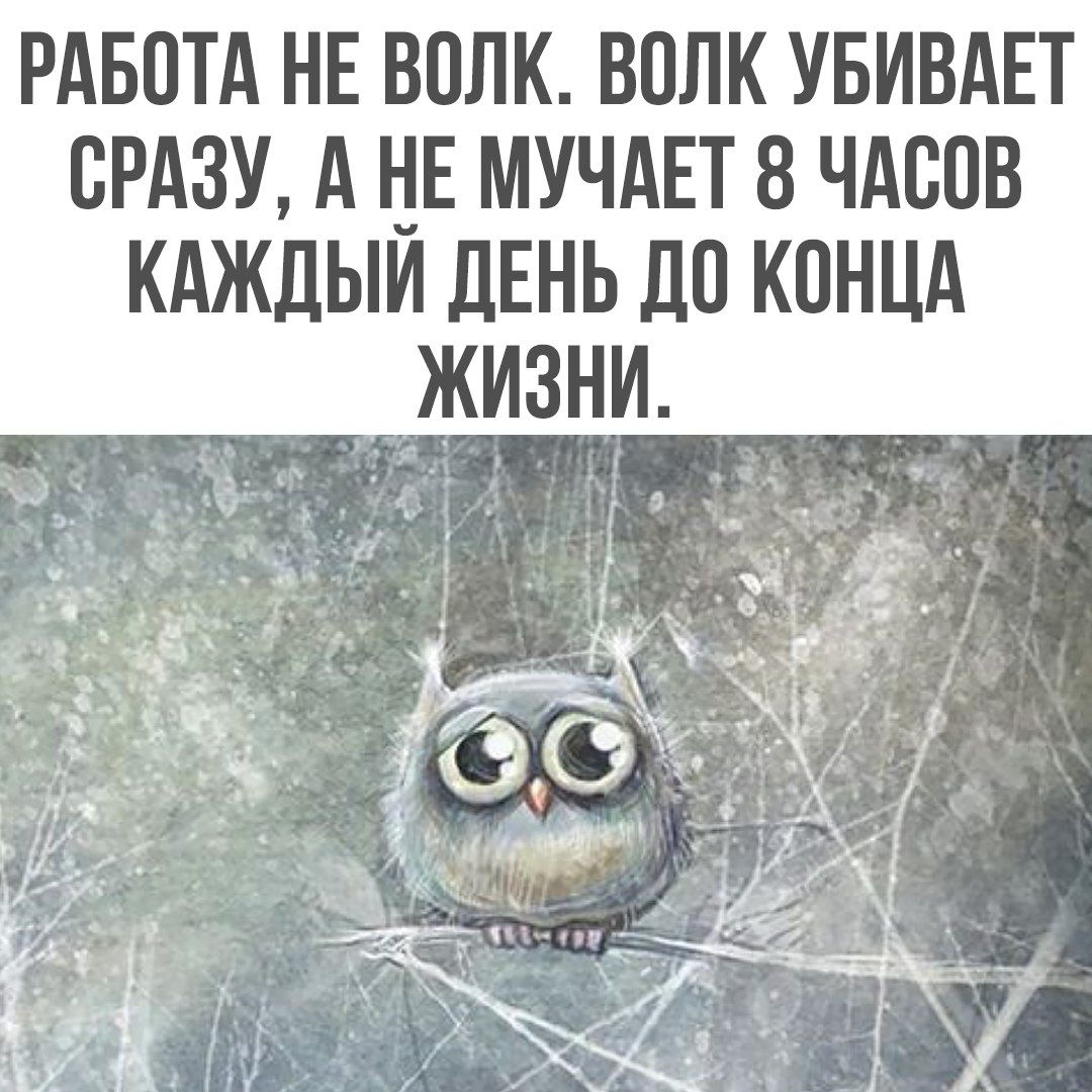 РАБОТА НЕ ВОЛК ВОЛК УБИВАЕТ СРАЗУ А НЕ МУЧАЕТ 8 ЧАСОВ КАЖДЫЙ ДЕНЬ ДО КОНЦА