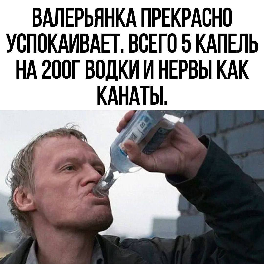 ВАЛЕРЬЯНКА ПРЕКРАСНО УСПОКАИВАЕТ ВСЕГО 5 КАПЕЛЬ НА 200Г ВОДКИ И НЕРВЫ КАК КАНАТЫ