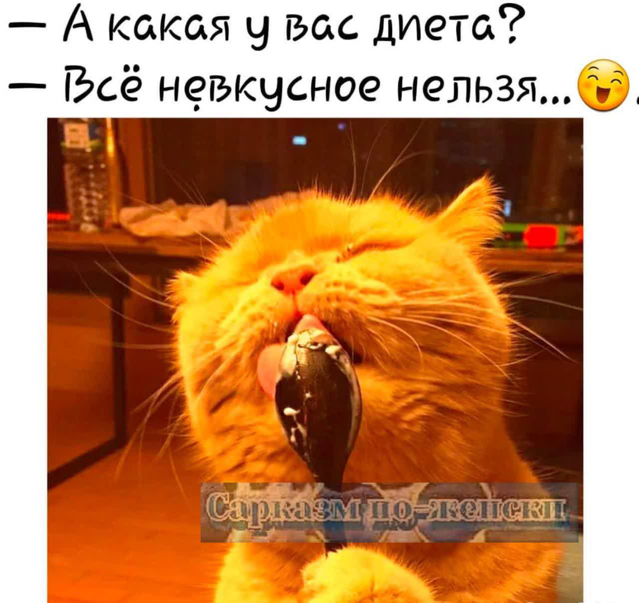 А кокся Ч всс диета Всё невкчсное нельзя 6