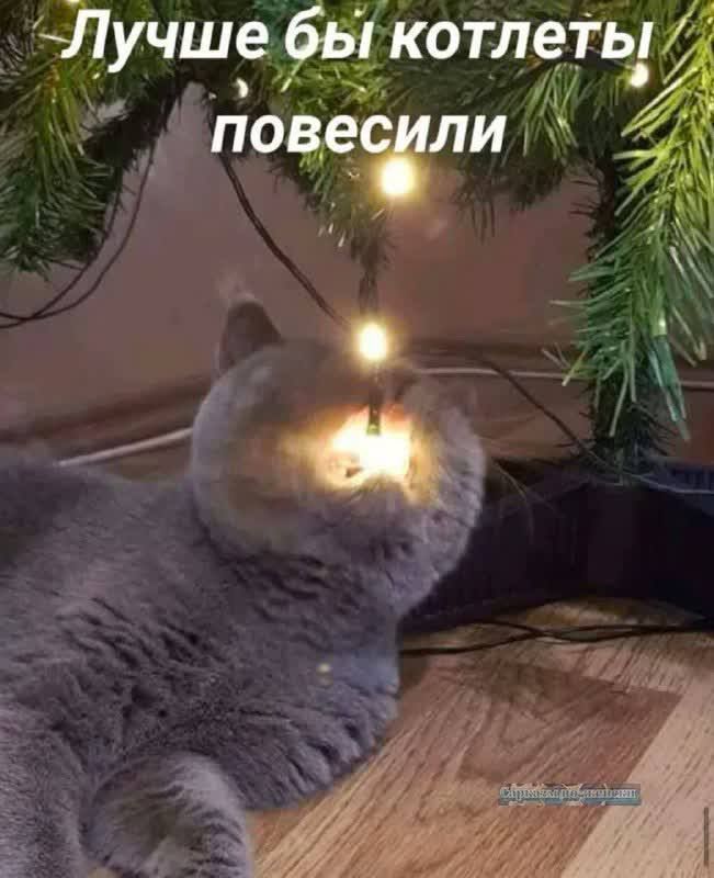 учше котлеть а у