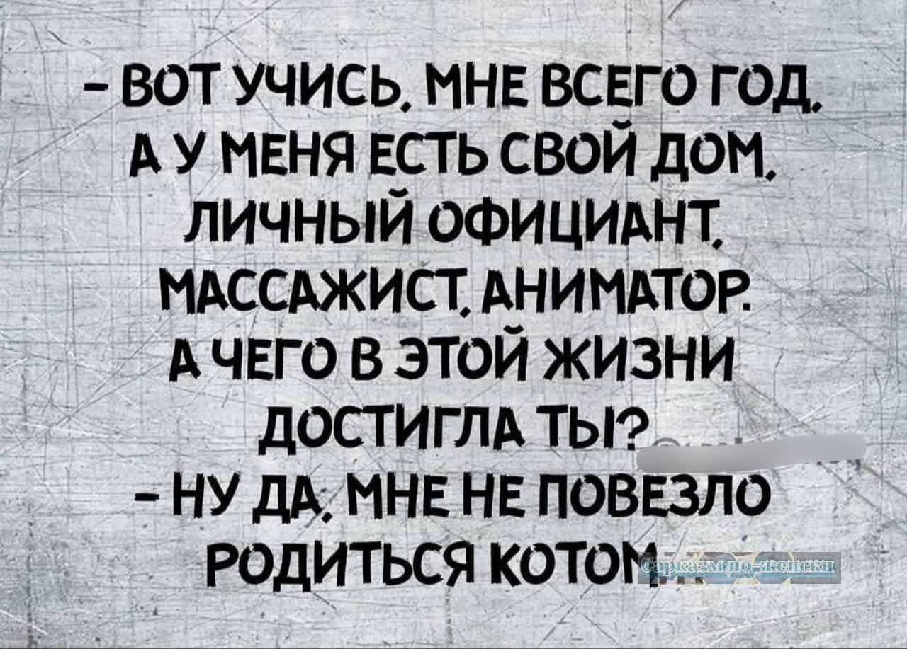 ВОТ УЧИСЬ МНЕ ВСЕГО ГОД АУ МЕНЯ ЕСТЬ СВОЙ ДОМ ЛИЧНЫЙ ОФИЦИАНТ МАССАЖИСТ АНИМАТОР АЧЕГО В ЭТОЙ ЖИЗНИ ДОСТИГЛА ТЫ _ НУ ДА МНЕ НЕ ПОВЕЗЛО РОДИТЬСЯ КОТОМ