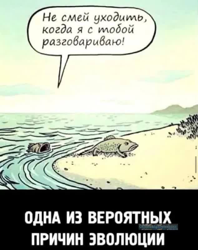 Не смей уходииль когда я с илобой разговариваю ОДНА ИЗ ВЕРОЯТНЫХ ПРИЧИН ЭВОЛЮЦИИ