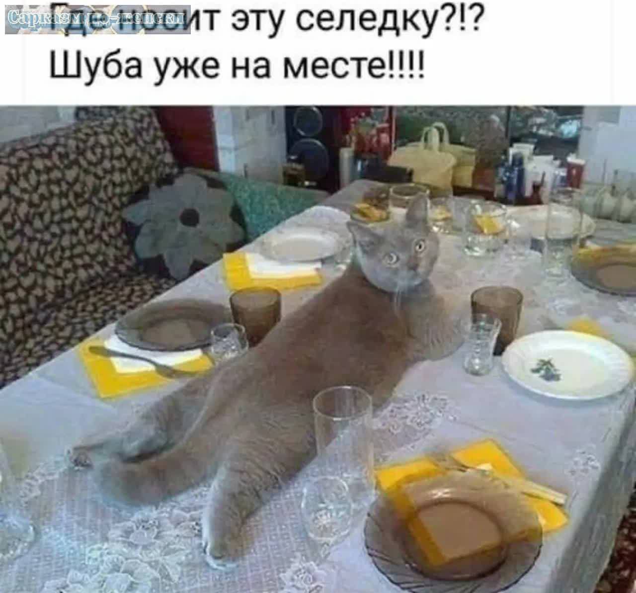 Лигденосит эту селедку?!? Шуба уже на месте!!!!
Лигденосит эту селедку?!? Шуба уже на месте!!!!