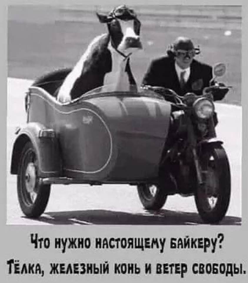 Что нужно настоящему байкеру? Тёлка, железный конь и ветер свободы.