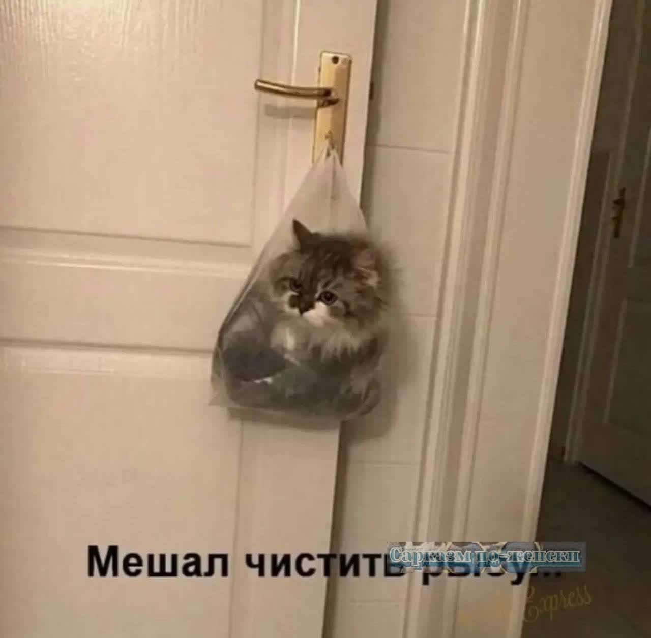 Мешал чистить.