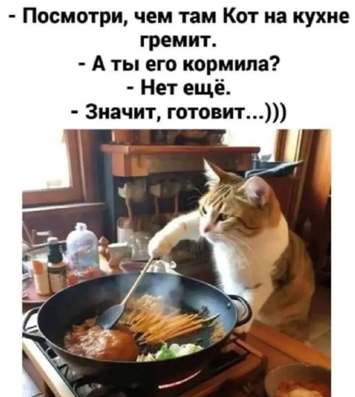 - Посмотри, чем там Кот на кухне гремит.
- А ты его кормила?
- Нет ещё.
- Значит, готовит...))))