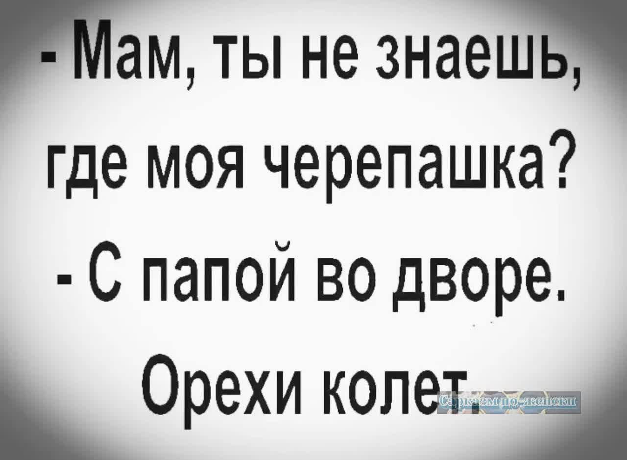 Мам, ты не знаешь, где моя черепашка? - С папой во дворе. Орехи колет