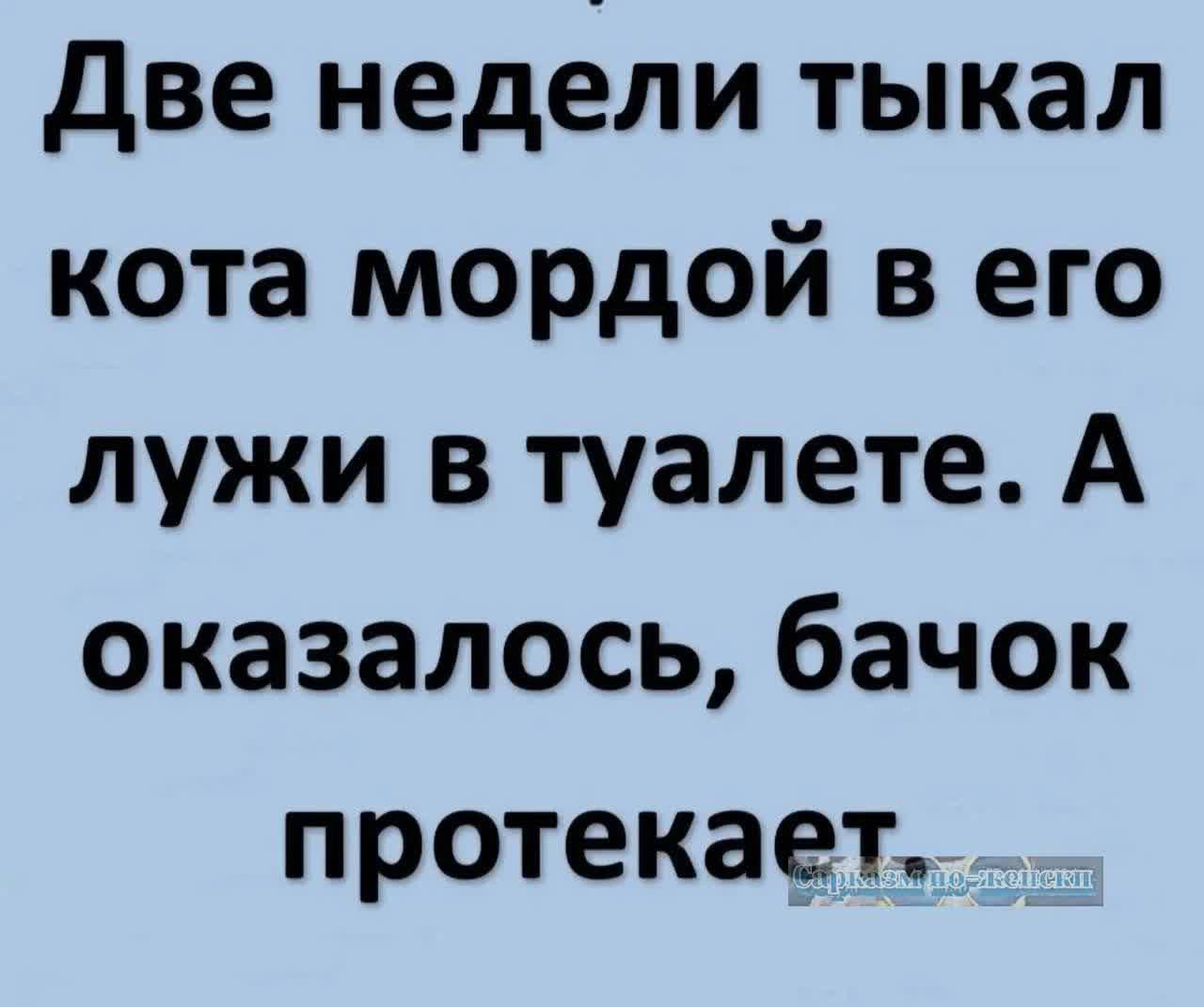 Две недели тыкал кота мордой в его лужи в туалете. А оказалось, бачок протекает