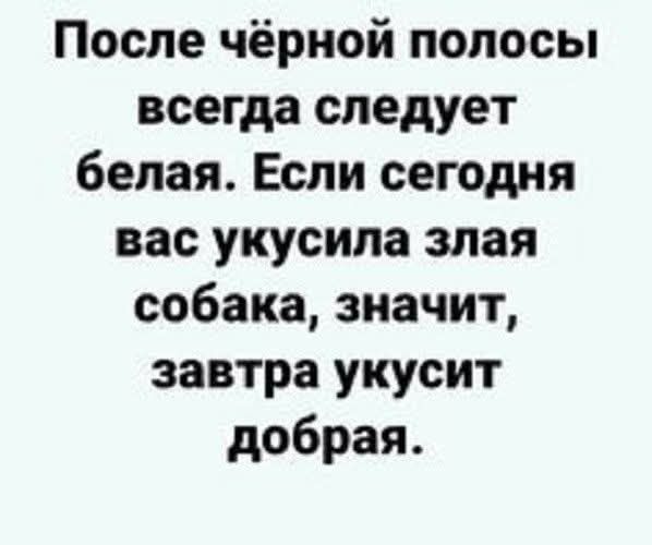 После чёрной полосы всегда следует белая. Если сегодня вас укусила злая собака, значит, завтра укусит добрая.