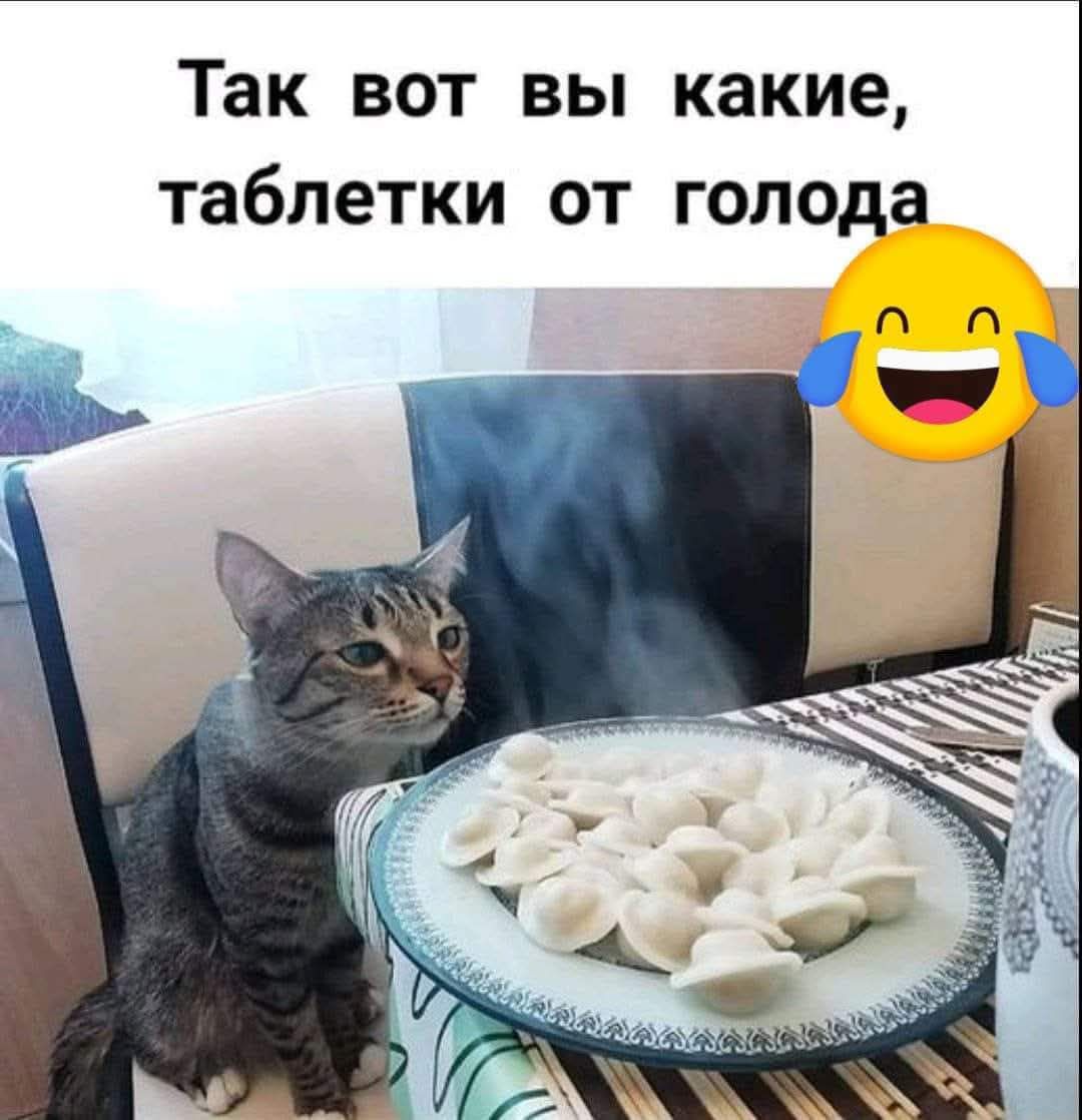 Так вот вы какие, таблеточки от голода.