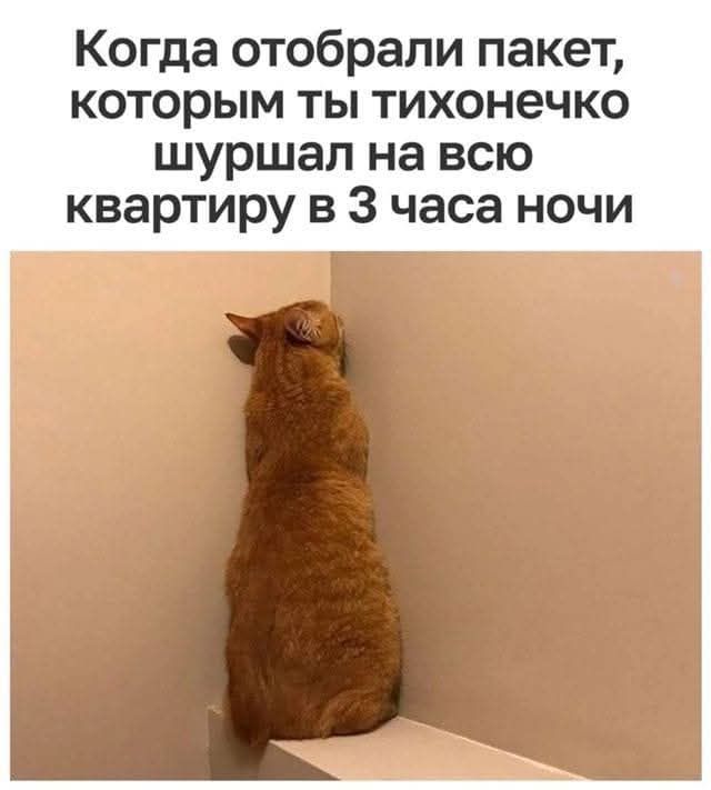 Когда отобрали пакет, которым ты тихонечко шуршал на всю квартиру в 3 часа ночи
