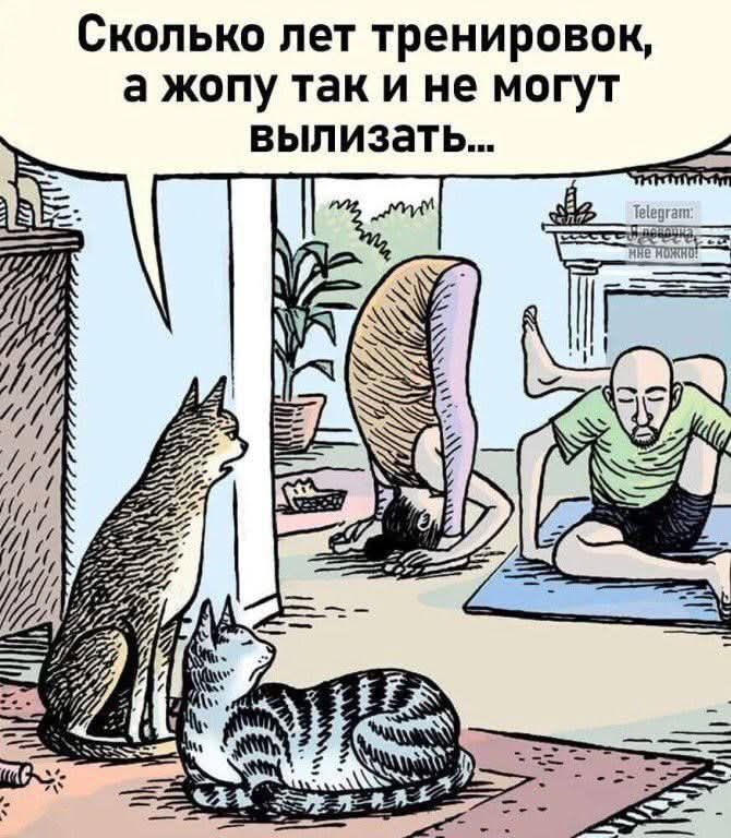 Сколько лет тренировок, а жопу так и не могут вылизать...