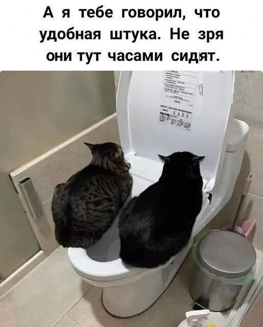 А я тебе говорил, что удобная штука. Не зря они тут часами сидят.