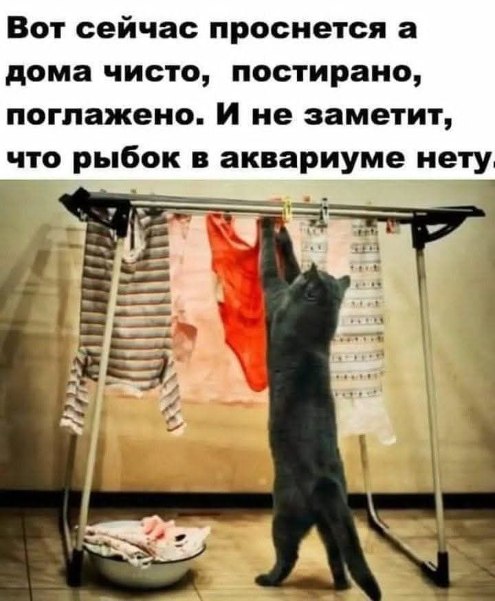 Вот сейчас проснется а дома чисто, постирано, поглажено. И не заметит, что рыбок в аквариуме нету.