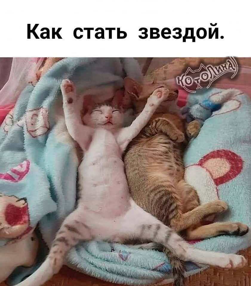 Как стать звездой.