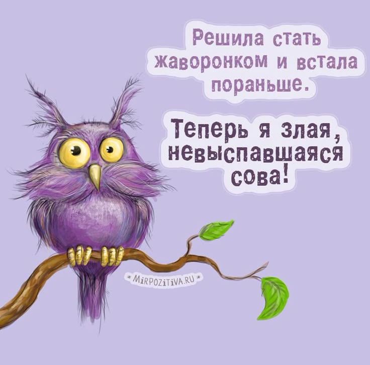 Решила стать жаворонком и встала пораньше. Теперь я злая, невысыпающаяся сова!
