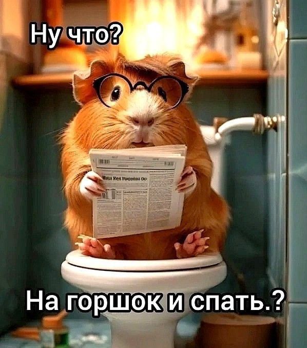 Ну что? На горшок и спать.?
