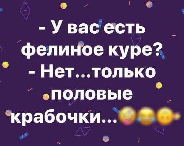 - У вас есть фелиновое куре? - Нет...только половые крабочки...