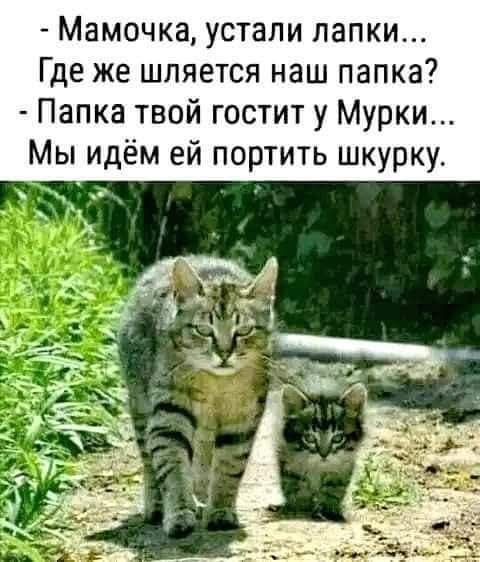 - Мамочка, устали лапки... Где же шляется наш папка?
- Папка твой гостит у Мурки...
Мы идём ей портить шкурку.