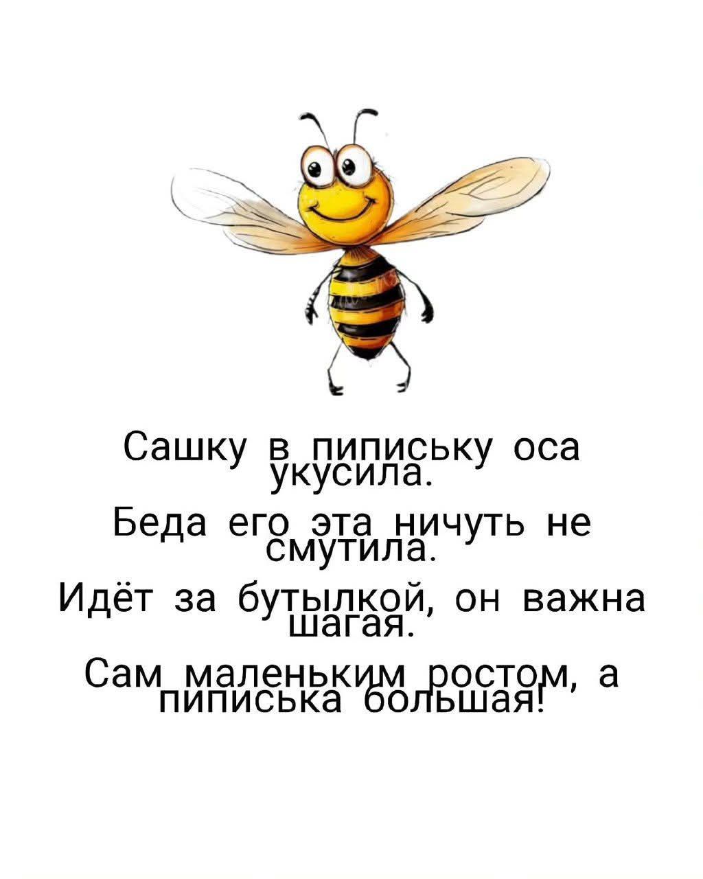 Сашку в писипиську оса укусила. Беда его эта ничуть не смутила. Идёт за бутылкой, он важна шагая. Сам маленьким ростом, а писиська большая!