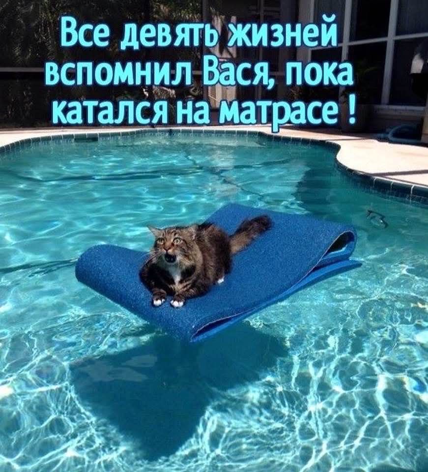 Все девять жизней вспомнил Вася, пока катался на матрасе !