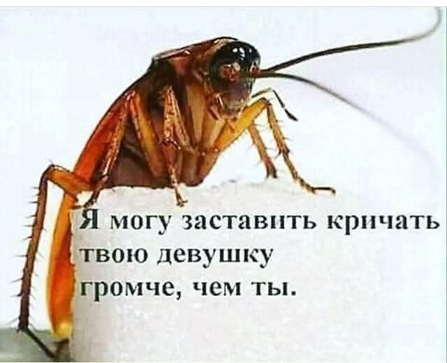 Я могу заставить кричать твою девушку громче, чем ты.