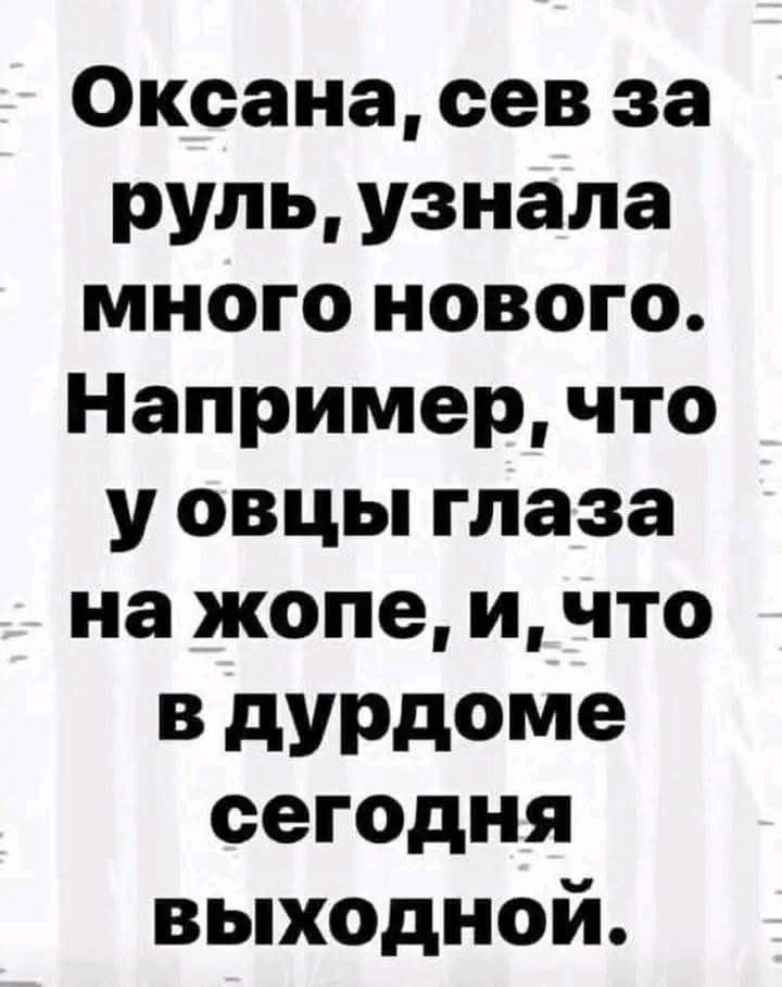 Оксана, сеv за руль, узнала много нового. Например, что у овцы глаза на жопе, и, что в дурдоме сегодня выходной.