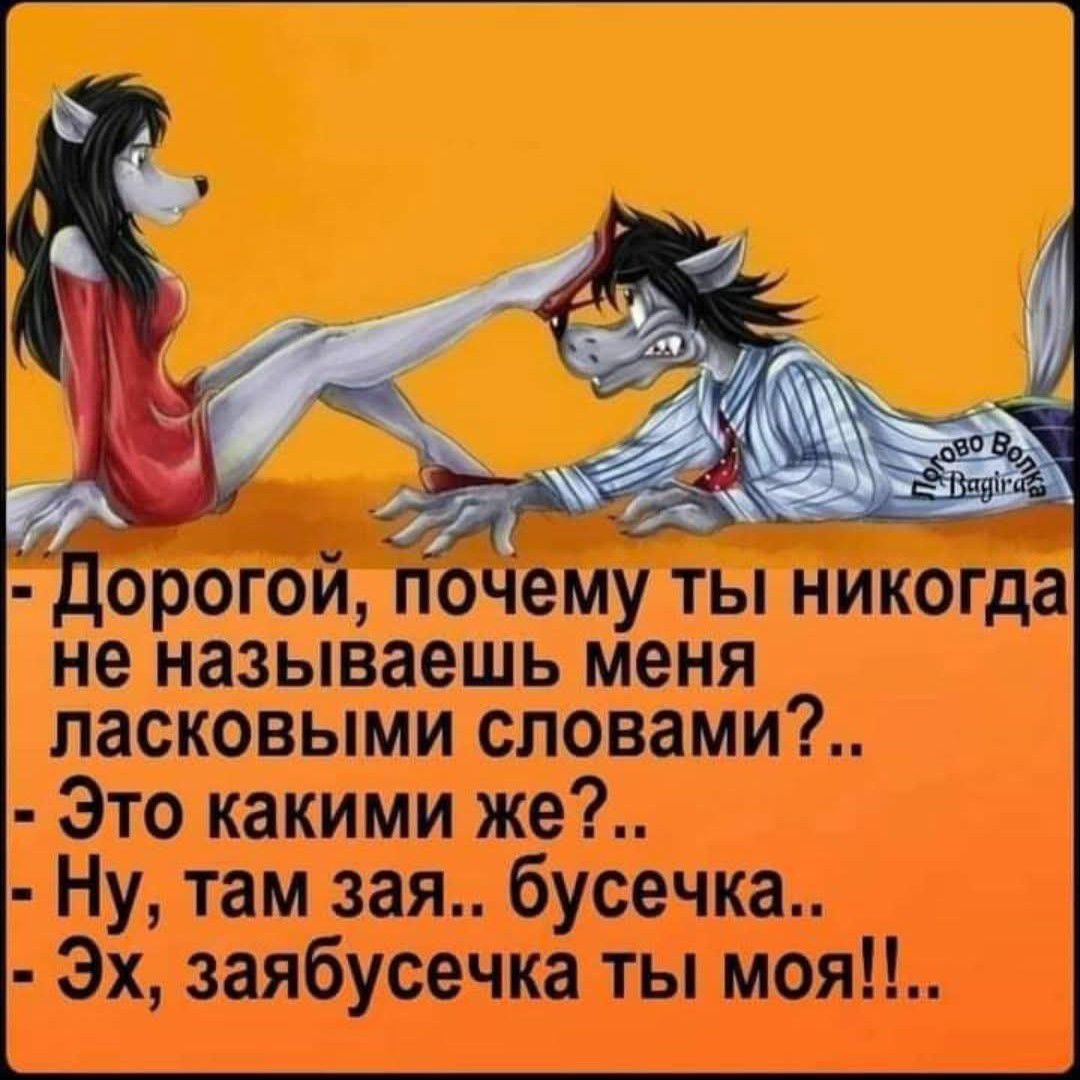 Дорогой, почему ты никогда не называешь меня ласковыми словами?.. Это какими же?.. Ну, там зайка.. бусечка.. Эх, заябусечка ты моя!!