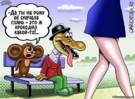-Да ты на рожу её сначала глянь - это ж крокодил какой-то!...