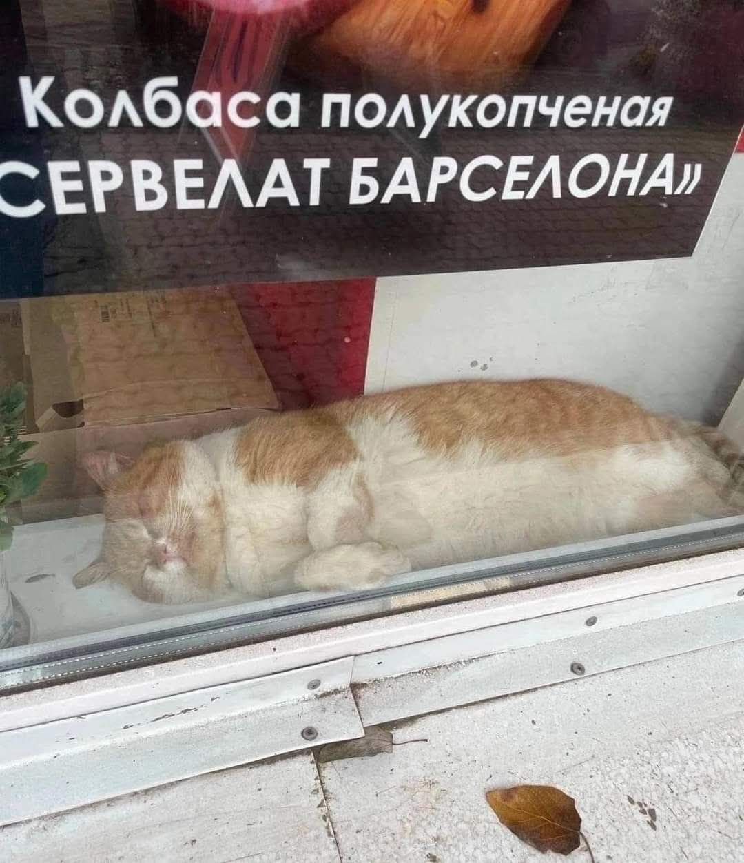 Колбаса полукопченая СЕРВЕЛАТ БАРСЕЛОНА