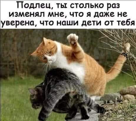 Подлец, ты столько раз изменял мне, что я даже не уверена, что наши дети от тебя