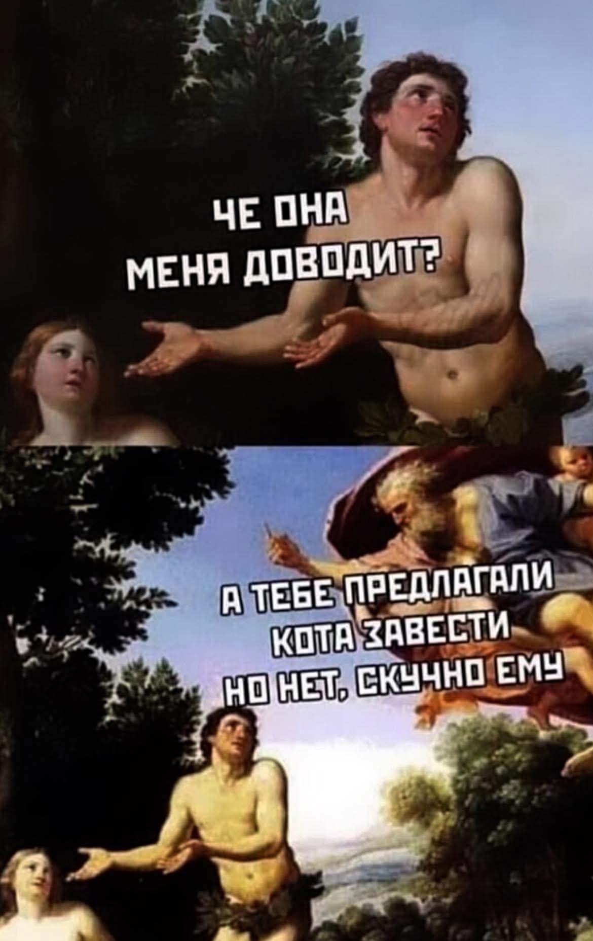 Че она меня доводит?
А тебе предлагали кота завести, но нет, скучно ему