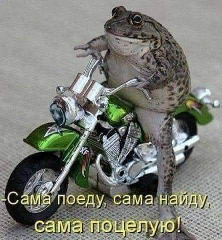 Сама поеду, сама найду, сама поцелую!