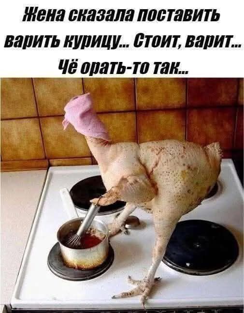 Жена сказала поставить варить курицу... Стоит, варит... Чё орать-то так...