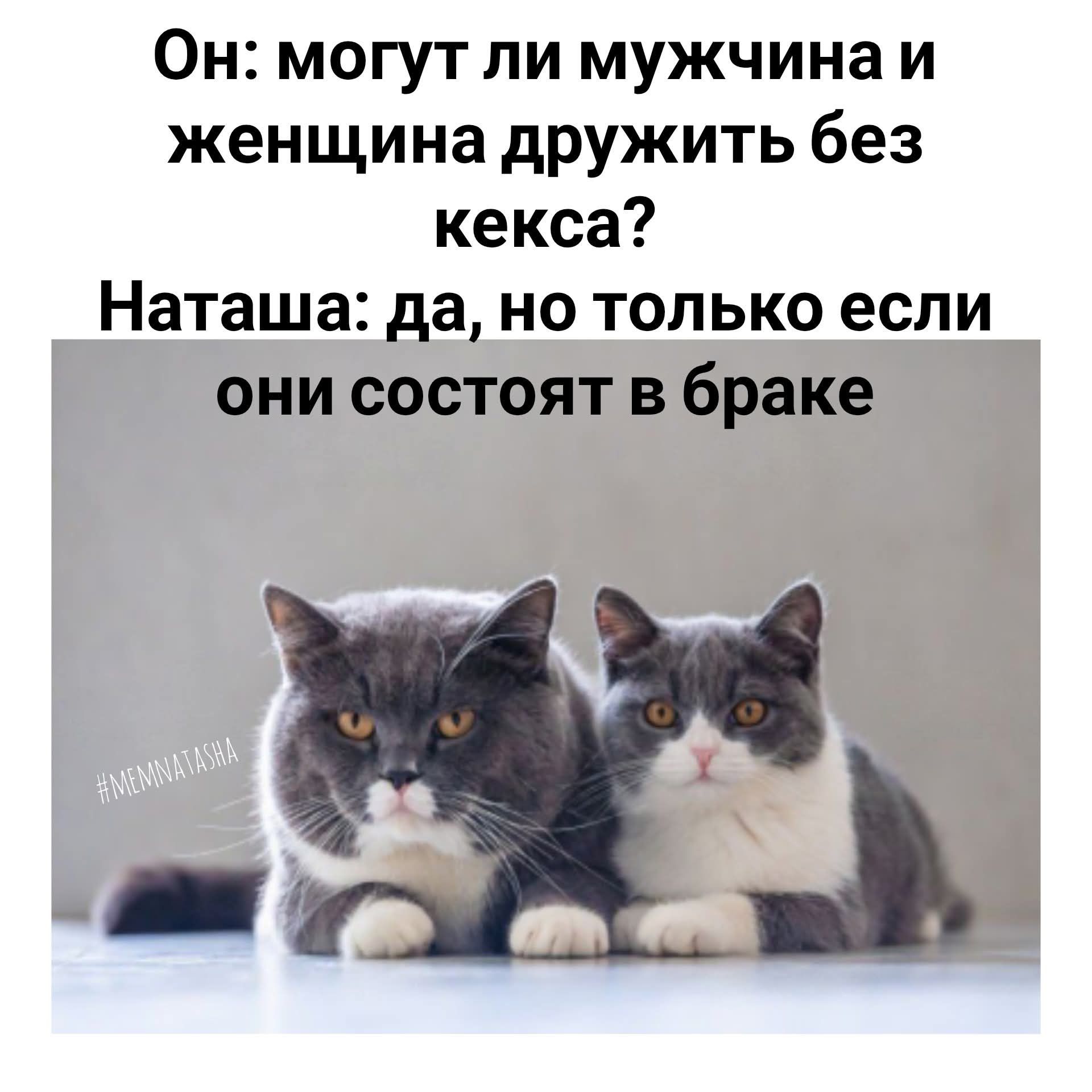 Он: могут ли мужчина и женщина дружить без секса? Наташа: да, но только если они состоят в браке.
