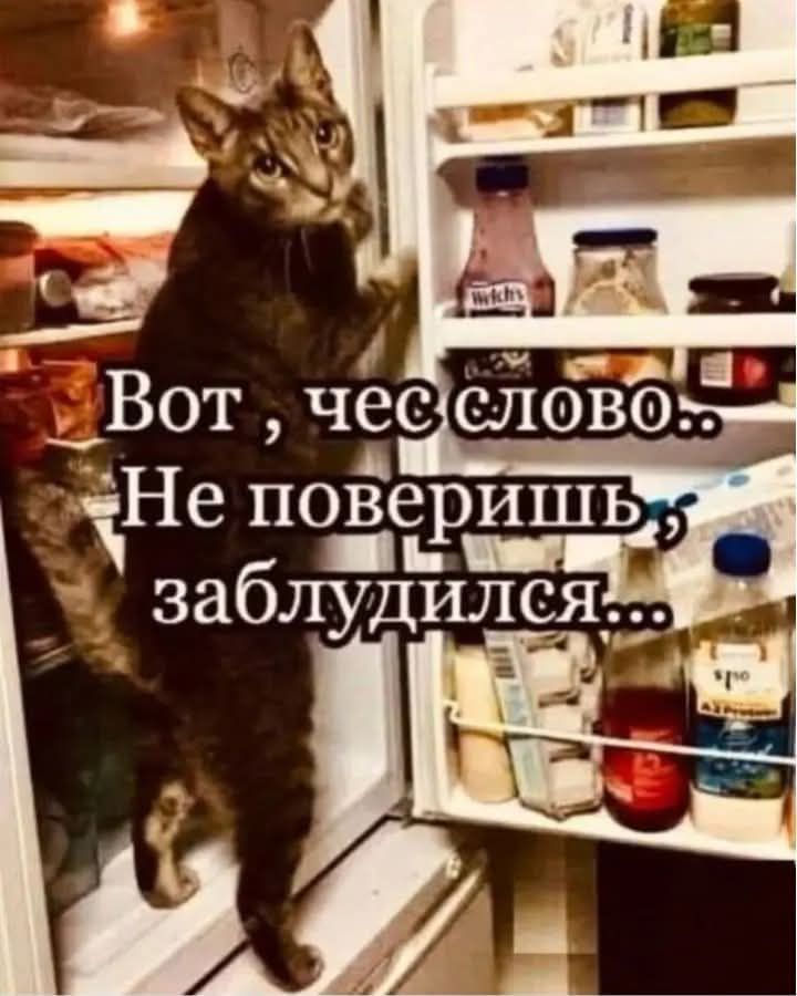 Вот, чес слово.. Не поверишь, заблудился...