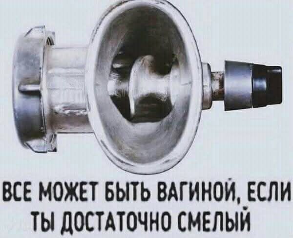 ВСЕ МОЖЕТ БЫТЬ ВАГИНОЙ, ЕСЛИ ТЫ ДОСТАТОЧНО СМЕЛЫЙ