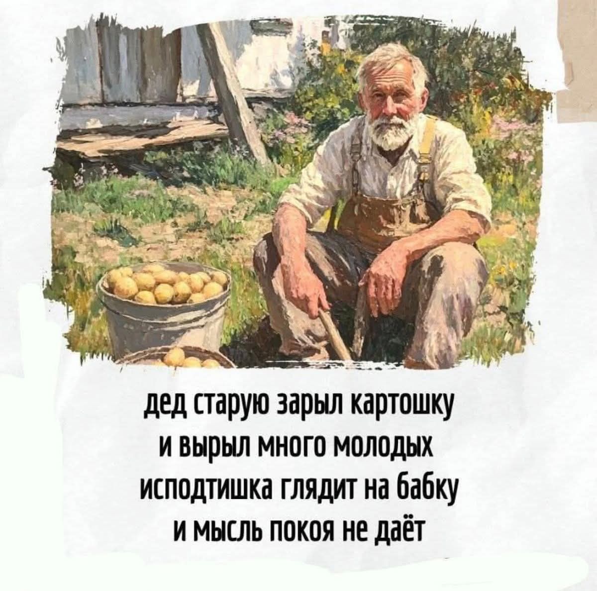 дед старую зарыл картошку
и вырыл много молодых
испотытшка глядит на бабку
и мысль покоя не даёт
