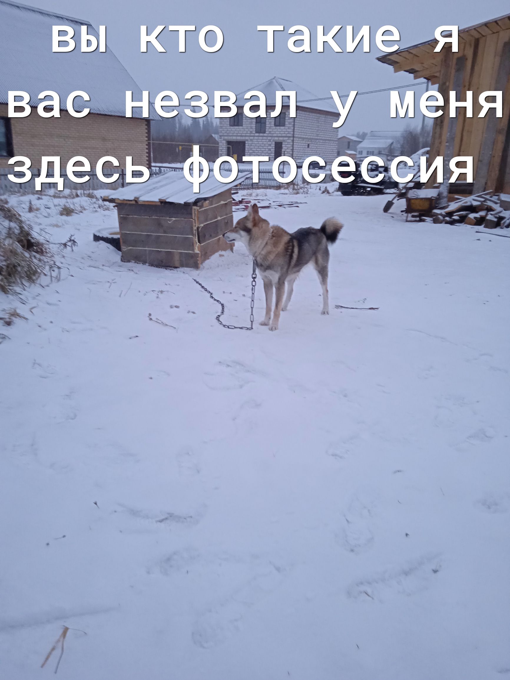 Ёыкто такие М 4 __ ЧР