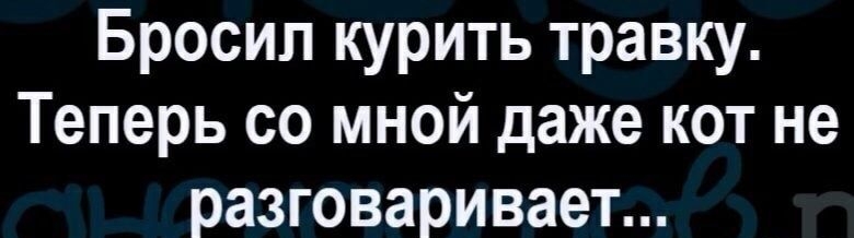 Бросил курить травку Теперь со мной даже кот не разговаривает Шаргікыхп