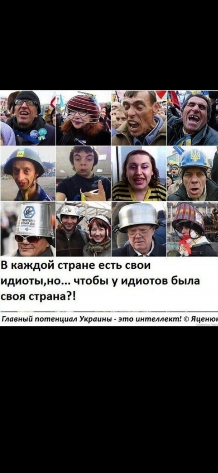В каждой стране есть свои идиотыно чтобы у идиотов была своя страна Главный потенциал Украины это интеллект Яцемю
